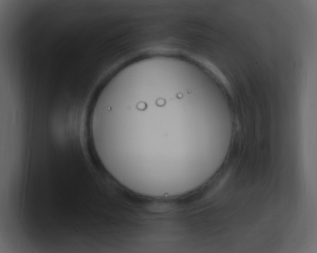 X0000101450487200807071114