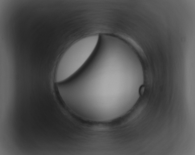 X0000101450489200807071114