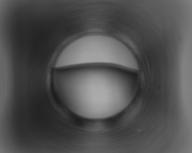X0000101450492200807071114