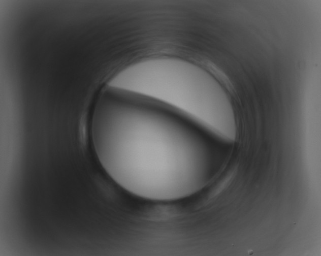 X0000101450493200807071114