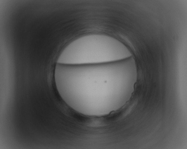 X0000101450495200807071114