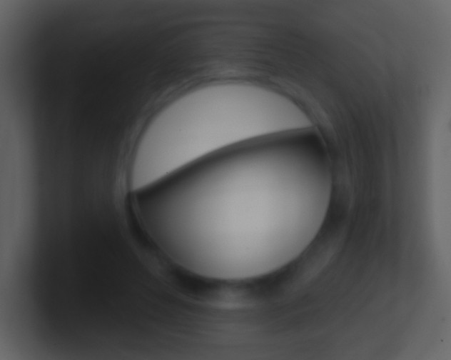 X0000101450496200807071114
