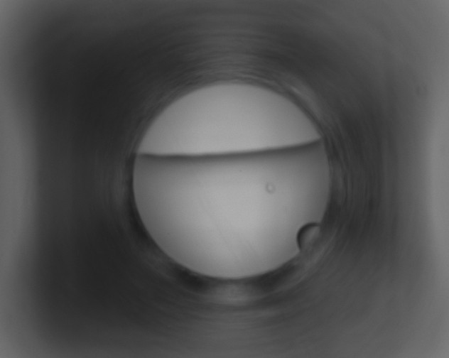 X0000101450499200807071114
