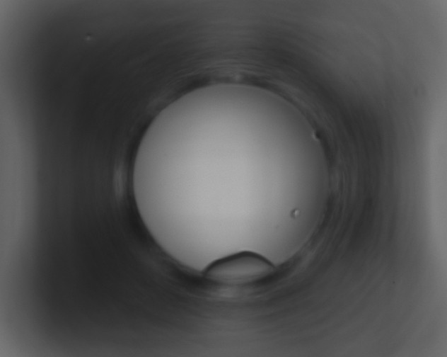 X0000101450504200807071114