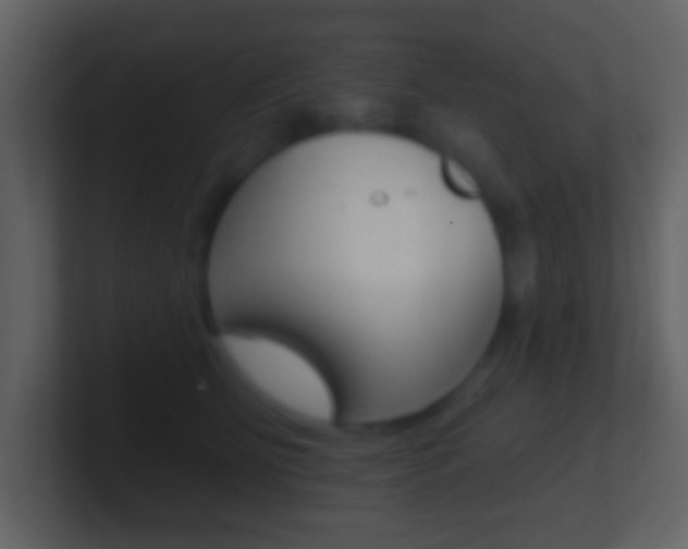 X0000101450515200807071113
