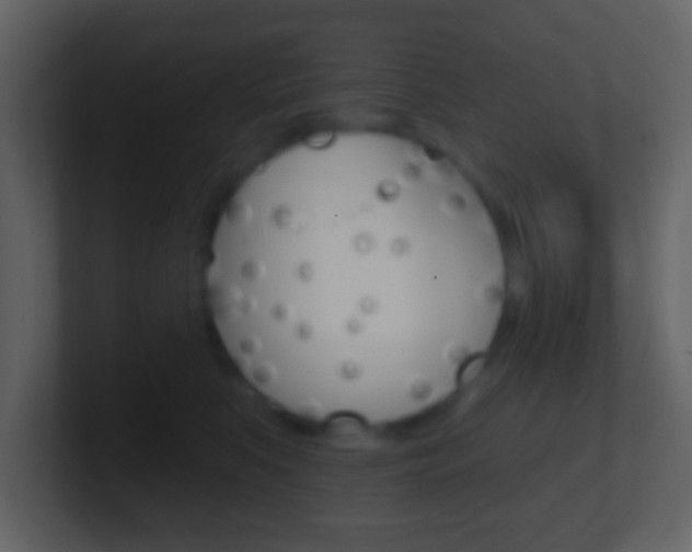 X0000101450519200807071113