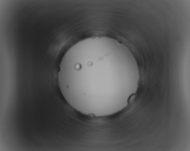 X0000101450523200807071113