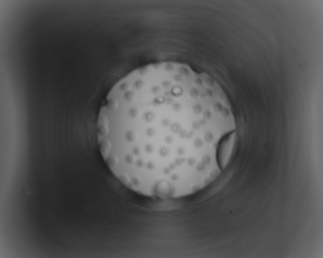 X0000101450527200807071113