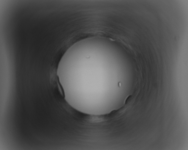 X0000101450528200807071113