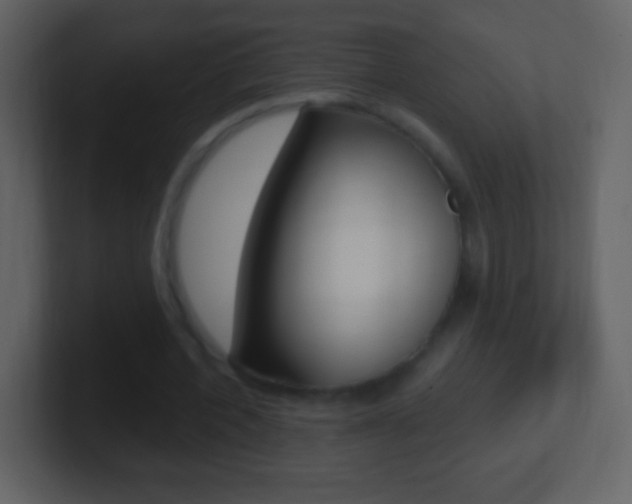 X0000101450532200807071113