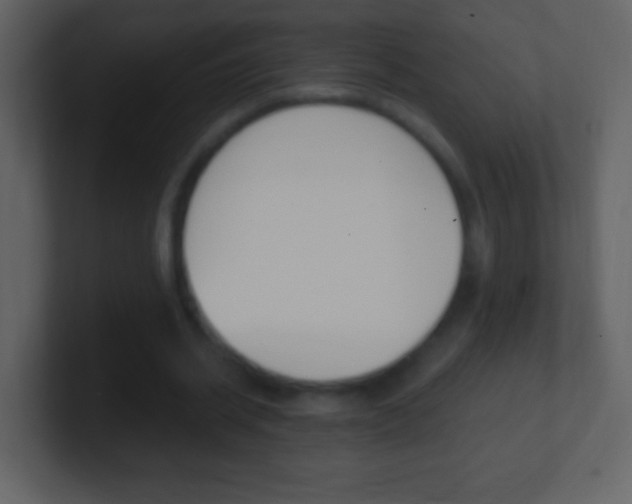 X0000101450534200807071113