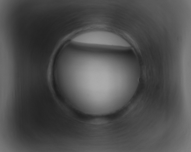 X0000101450536200807071113