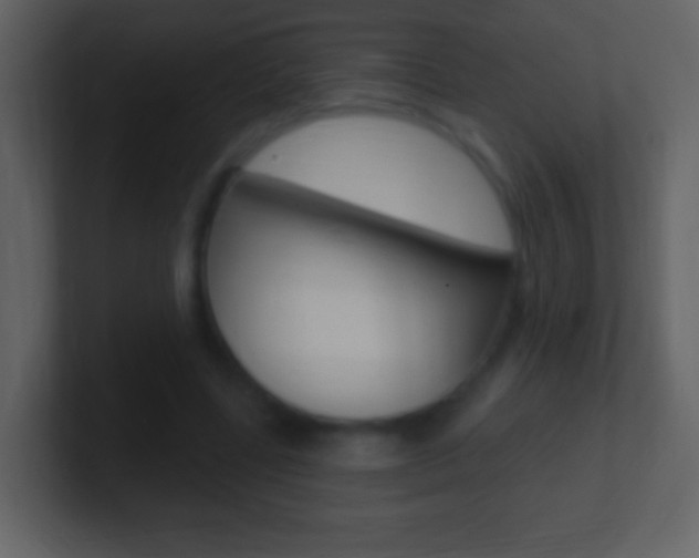 X0000101450539200807071113