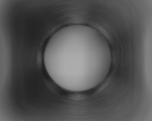 X0000101450542200807071113