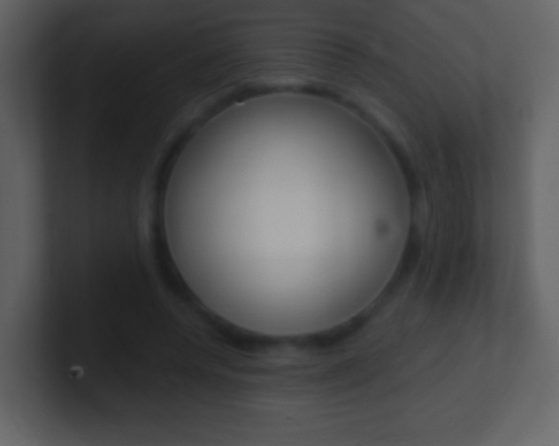 X0000101450544200807071113