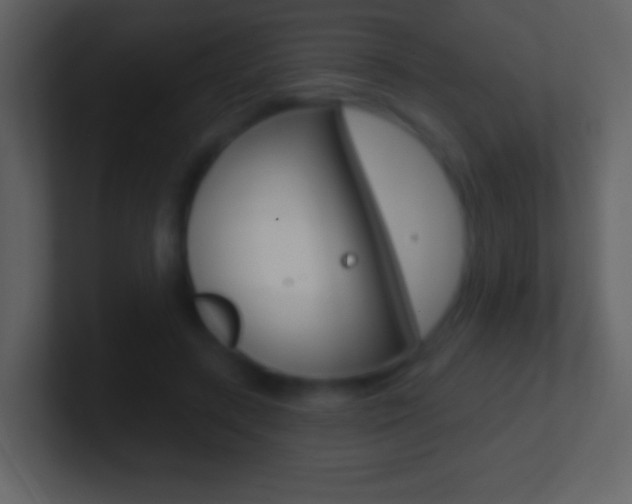 X0000101450547200807071113