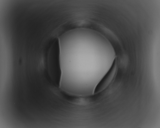 X0000101450558200807071113