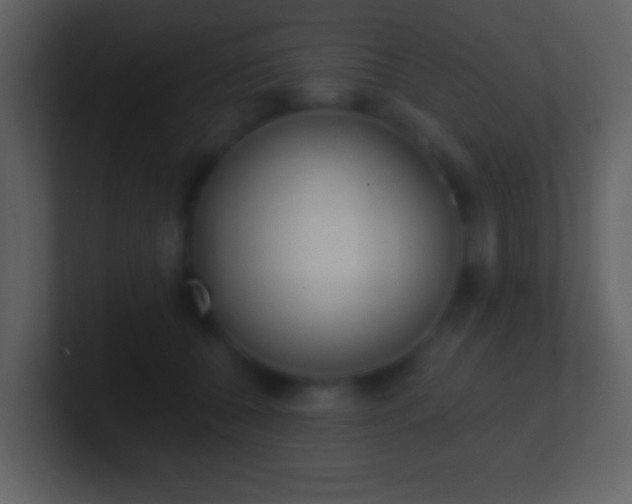 X0000101450560200807071113
