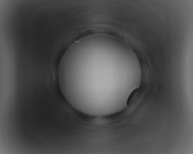 X0000101450562200807071113