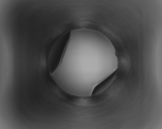 X0000101450566200807071113