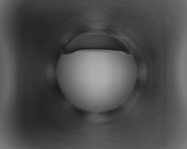 X0000101450568200807071113