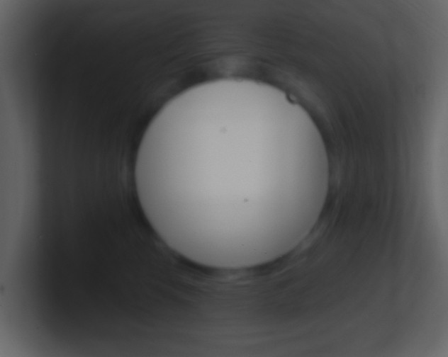 X0000101450569200807071113