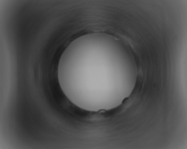 X0000101450572200807071113