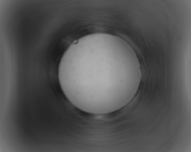 X0000101450573200807071113