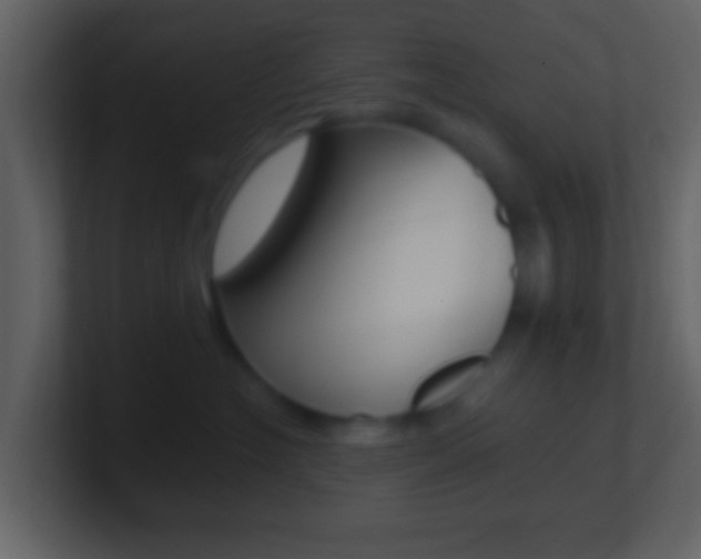 X0000101450574200807071113