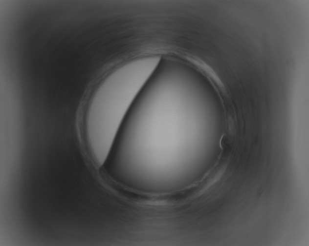 X0000101450581200807071113