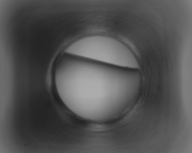 X0000101450582200807071113