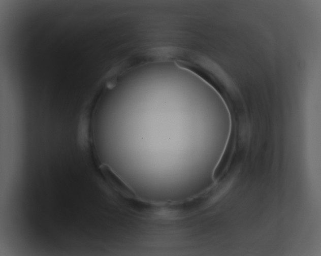 X0000101450585200807071113