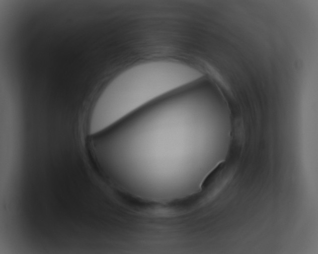 X0000101450589200807071112