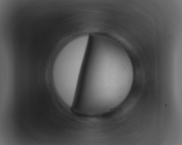 X0000101450592200807071112