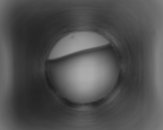 X0000101450593200807071112