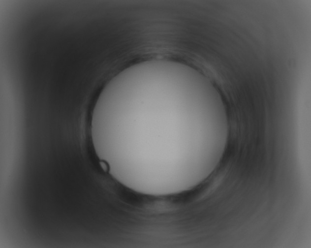 X0000101450594200807071112