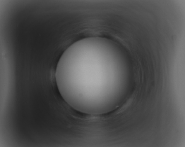 X0000101450624200807071112