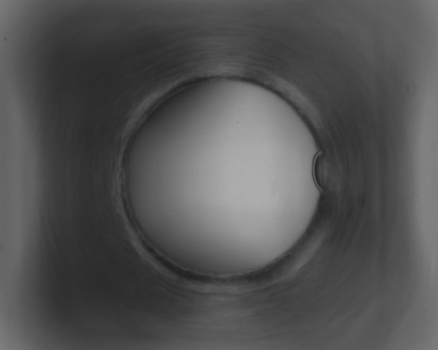 X0000101450625200807071111
