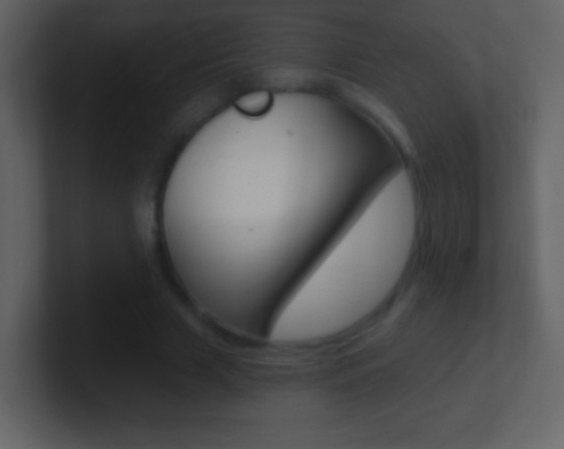 X0000101450633200807071111