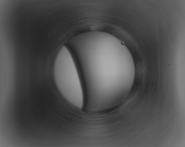 X0000101450650200807071112