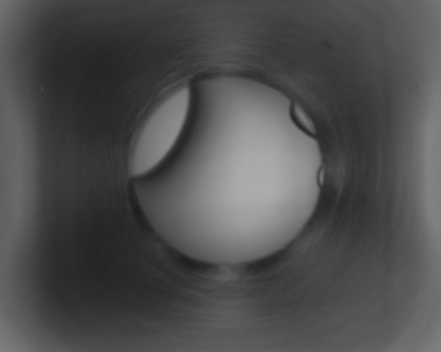 X0000101450660200807071112