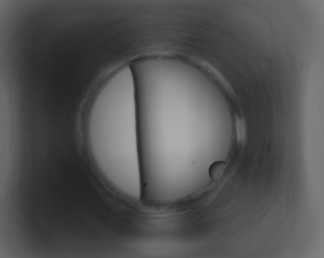 X0000101450675200807071111