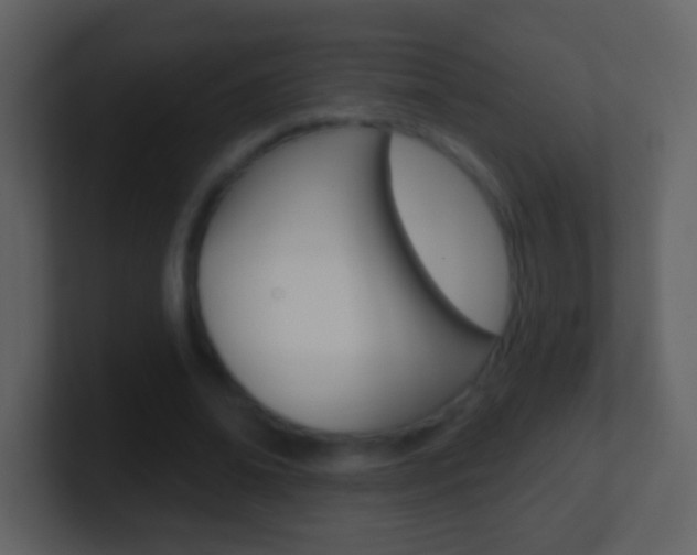 X0000101450678200807071111
