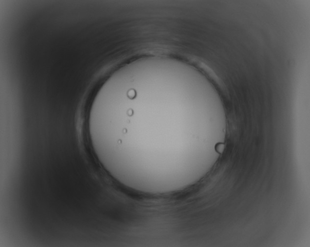 X0000101450679200807071111