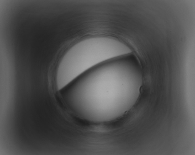 X0000101450688200807071111