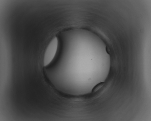 X0000101450689200807071111