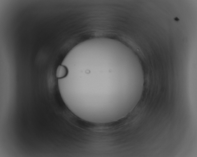 X0000101450691200807071111