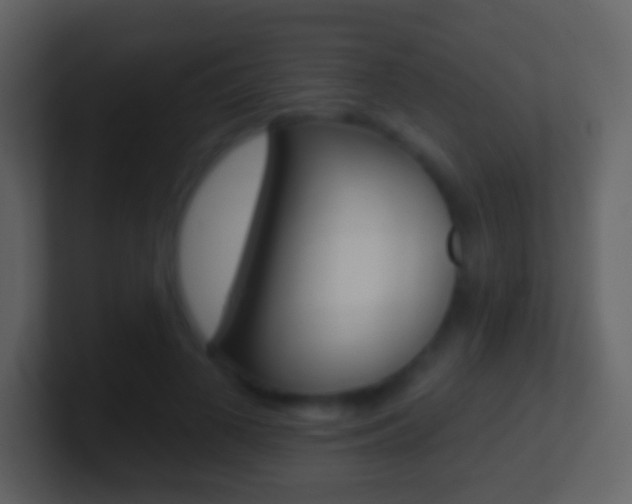 X0000101450693200807071111
