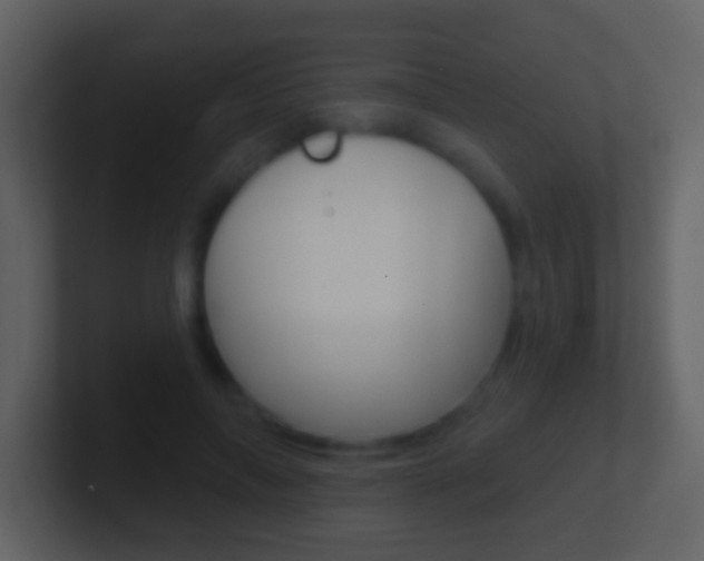 X0000101450694200807071111