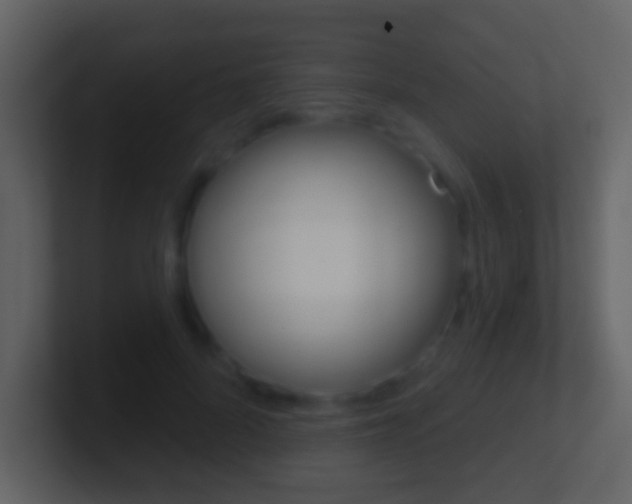 X0000101450696200807071111